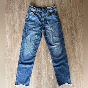 American Eagle Outfitters Women's Strigid Mom Blue Jeans